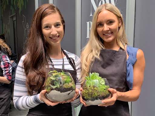 Terrarium Zoom Workshop + Plant Kit I Bloomin' Marvellous