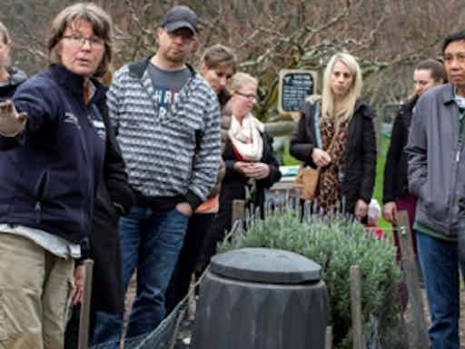 Home Composting for Beginners ONLINE